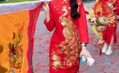 日本高清在线一区